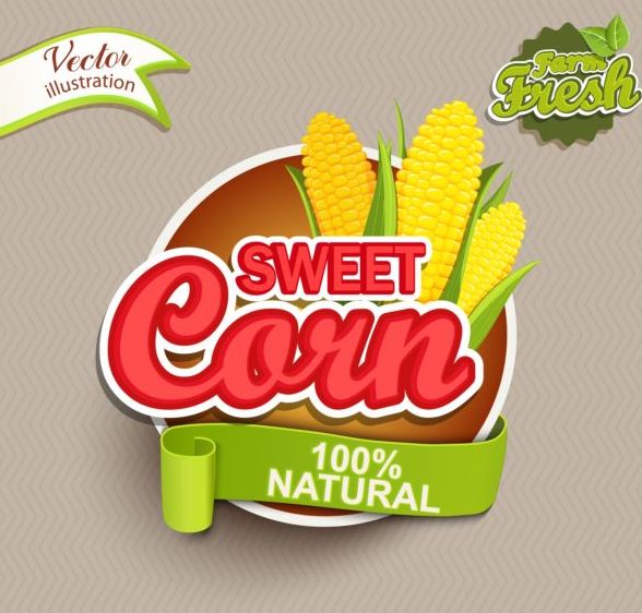 Sweet corn labels vector