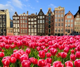 The beautiful city of Amsterdam Stock Photo 04