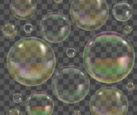 Transparent bubble illustration vector set 03