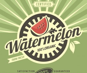 Watermelon poster vintage vectors