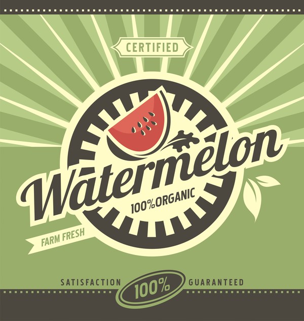 Watermelon poster vintage vectors
