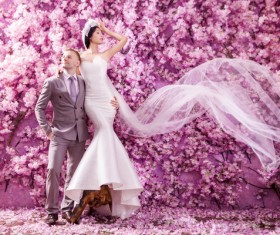 Wedding photographs of newlyweds Stock Photo 04