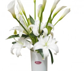 White lily and calla lily flower arrangement HD picture