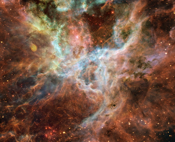 Wolf Spider Nebula Stock Photo