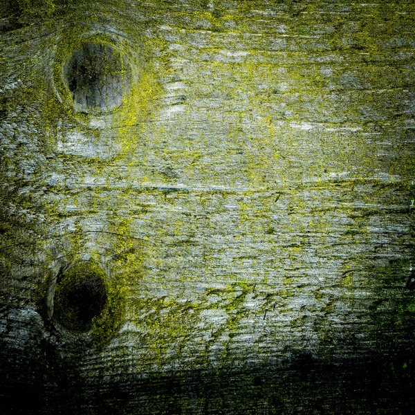 Wood background texture Stock Photo 01