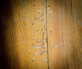 Wood background texture Stock Photo 07