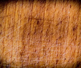 Wood background texture Stock Photo 14