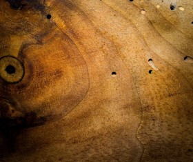Wood background texture Stock Photo 15