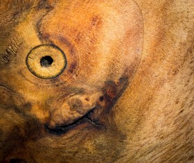 Wood background texture Stock Photo 17