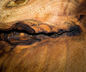 Wood background texture Stock Photo 18