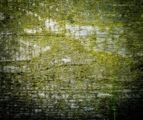 Wood background texture Stock Photo 20