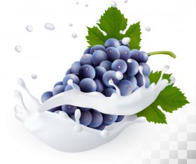 blue grapes with splash milk vector