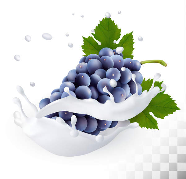blue grapes with splash milk vector
