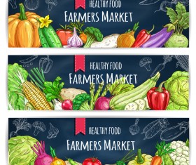 3 Kind Healthy vagetables banners vector