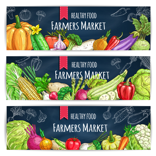 3 Kind Healthy vagetables banners vector