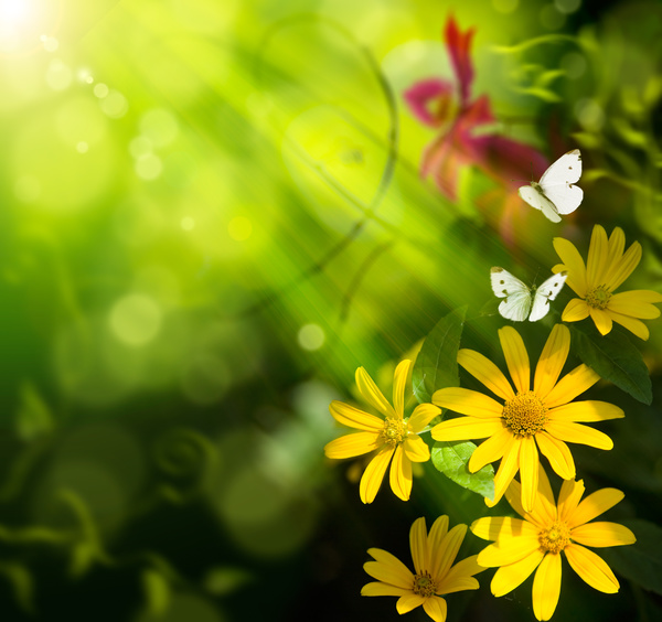 Abstract Floral Background HD picture 01