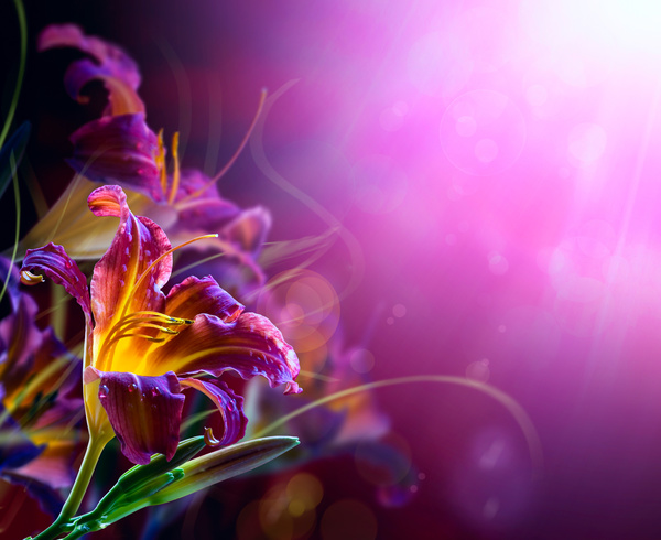 Abstract Floral Background HD picture 02