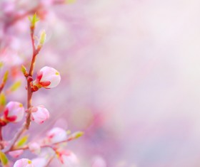 Abstract Floral Background HD picture 03