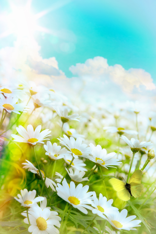 Abstract Floral Background HD picture 05
