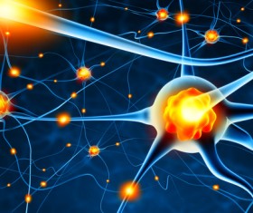 Active nerve cells Stock Photo 01