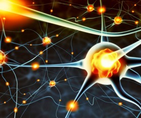 Active nerve cells Stock Photo 02
