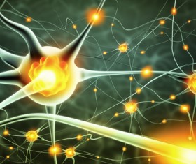 Active nerve cells Stock Photo 03