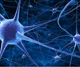 Active nerve cells Stock Photo 04