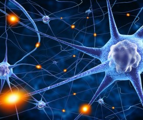 Active nerve cells Stock Photo 05
