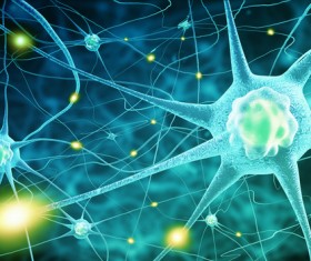 Active nerve cells Stock Photo 06