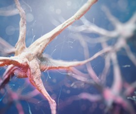 Active nerve cells Stock Photo 07
