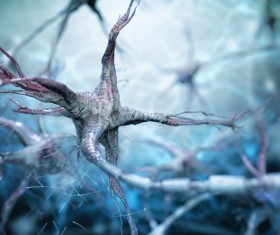 Active nerve cells Stock Photo 08