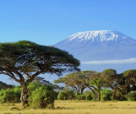 African landscape Stock Photo