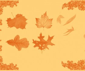 Autumn leaf photoshop brushes