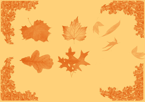 Autumn leaf photoshop brushes