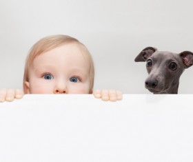 Baby and dog HD picture 01