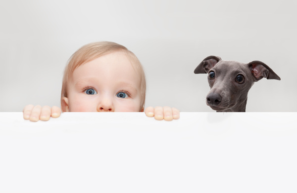 Baby and dog HD picture 01