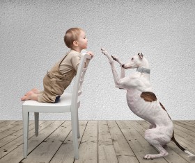 Baby and dog HD picture 02