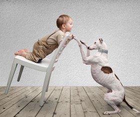 Baby and dog HD picture 04