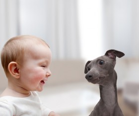 Baby and dog HD picture 05