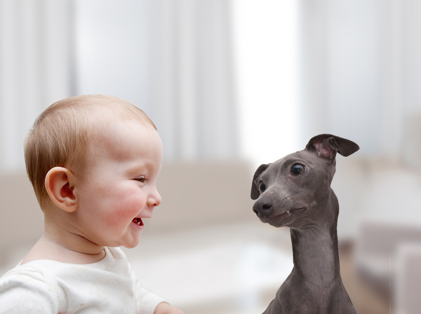 Baby and dog HD picture 05