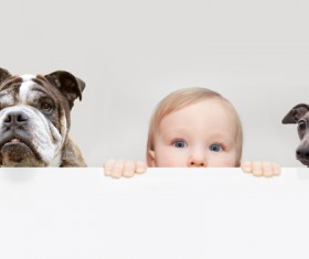 Baby and dog HD picture 07