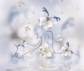 Background butterfly HD picture 01