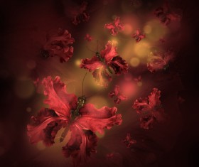 Background butterfly HD picture 02