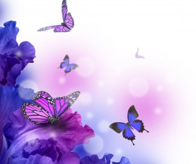 Background butterfly HD picture 03