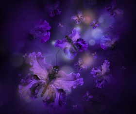 Background butterfly HD picture 04