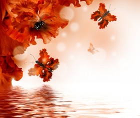 Background butterfly HD picture 05
