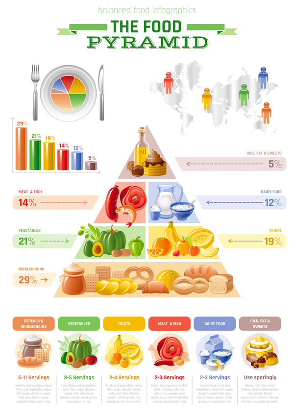Balanced food pyramid infographics template vector 01