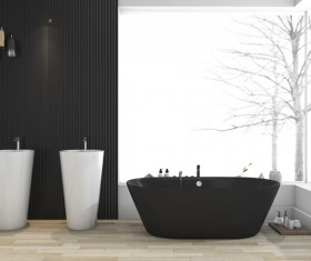 Bathroom Interior HD picture 06