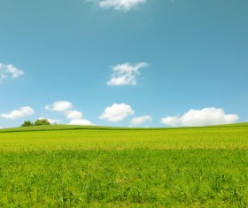 Beautiful blue sky and white clouds grass Stock Photo