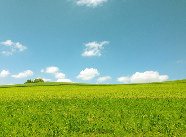 Beautiful blue sky and white clouds grass Stock Photo